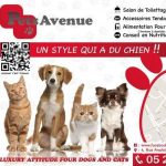 Image de Profil de Pets Avenue Casablanca