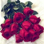 Image de Profil de Soumaya Ben