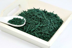 Annonce PRODUCTION DE SPIRULINE ARTISANALE