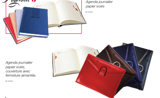 Image annonce: Agenda journalier papier ivoire