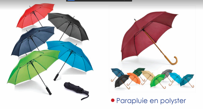 Image annonce: Parapluie personnalisable