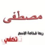 Image de Profil de Mostapha Elbessir