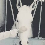 Image de Profil de HANANE BENGAMRA