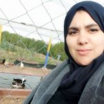 Image de Profil de RIM SAIB