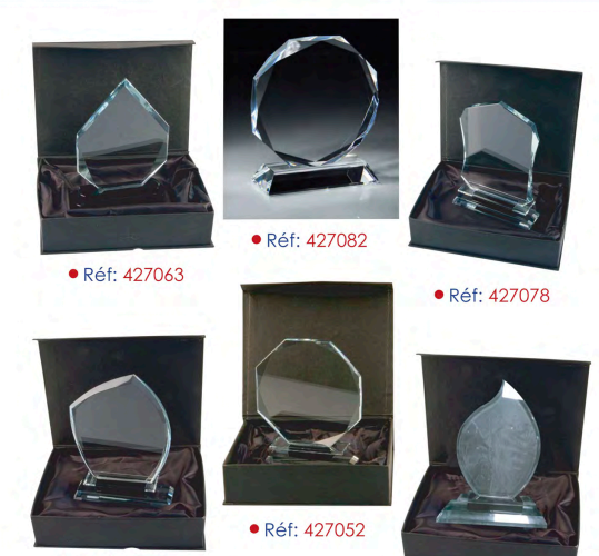 Image annonce: Trophée personnalisé