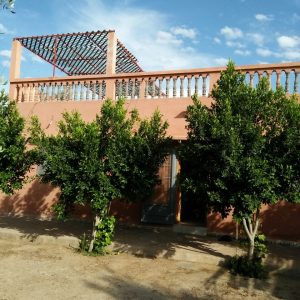 Annonce Petite ferme a vendre  route ourika