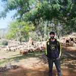 Image de Profil de Mehdi El Allioui