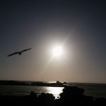 Image de Profil de Yatim Fatima Ezzahra