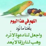 Photo de profil de: Yamanda Maroc Mode