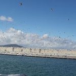 Image de Profil de Wissal Benabbou