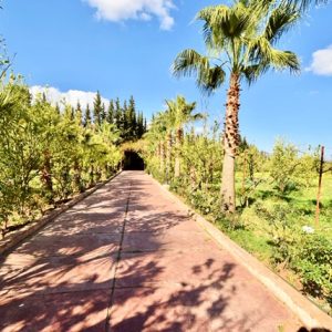 Annonce Belle Ferme à vendre Km22 Route de l'Ourika