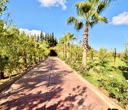 Annonce: Belle Ferme à vendre Km22 Route de l'Ourika