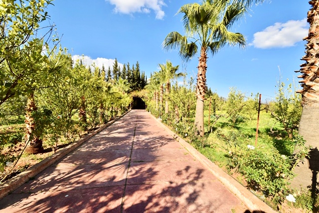 Image annonce: Belle Ferme à vendre Km22 Route de l’Ourika
