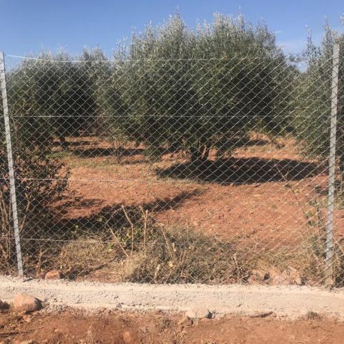 Annonce: Ferme à vendre km30 de Marrakech