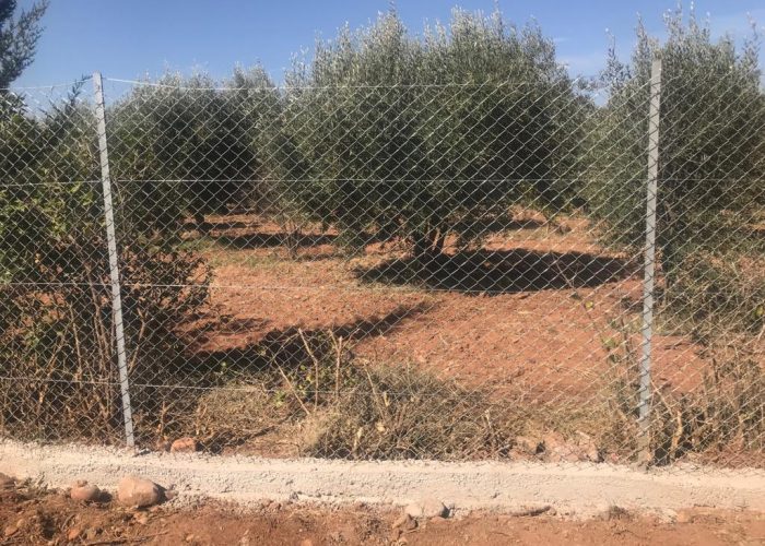Image annonce: Ferme à vendre km30 de Marrakech