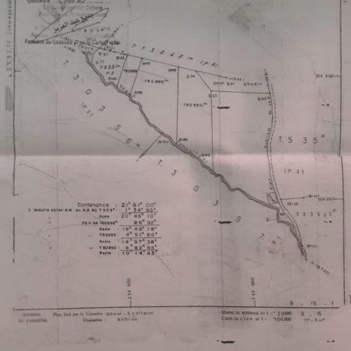 Annonce: En haut 10 hectares .route de l ourika ,pres de zaraba