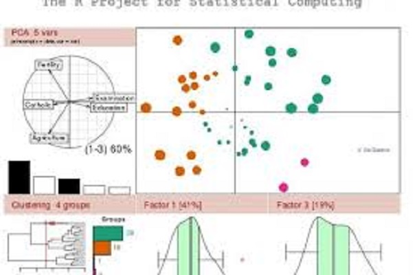 Image annonce: Soutien en statistique, Etudes statistiques et analyse des données