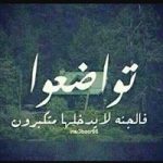 Image de Profil de Mohamed Moh