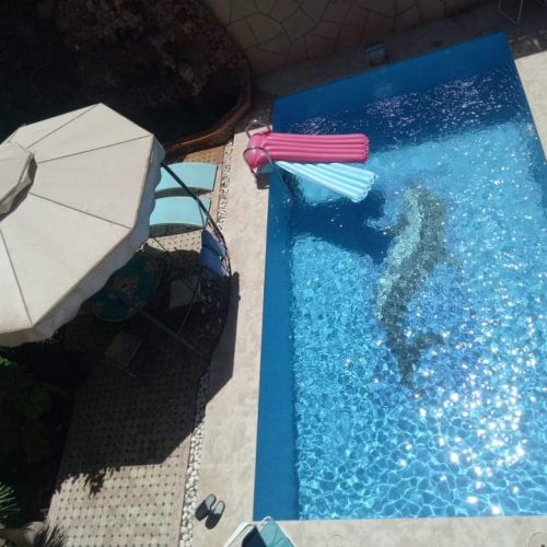 Annonce: Je mets en Location Villas Luxe a Targa dans un quartier calme
