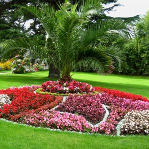 Annonce Jardinage à Rabat Entretien conception Jardins terrasse à Rabat