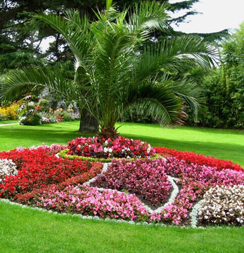 Annonce: Jardinage à Rabat Entretien conception Jardins terrasse à Rabat