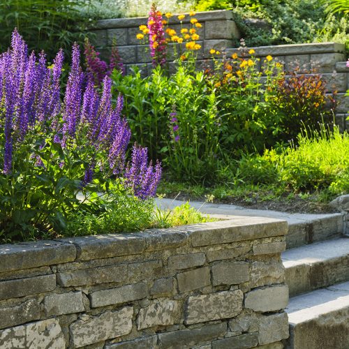 Annonce: Jardinage à Rabat Jardin terrasse à Rabat