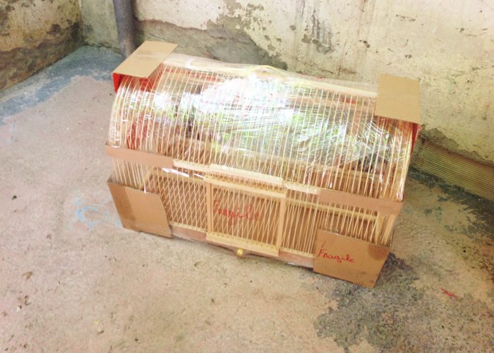 Image annonce: Cage