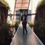 Image de Profil de Mouna Mrani Zentar