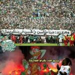 Image de Profil de ول عماد