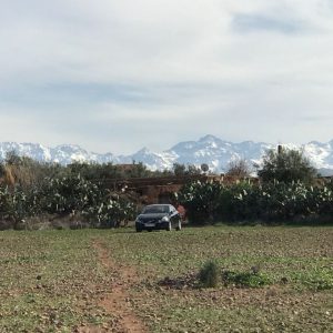 Annonce à vendre 6 Lots de Terrain d'environ 1 HECTARE sur la route d'amezmiz à AKRICH