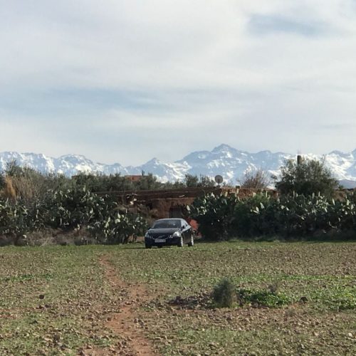 Annonce: à vendre 6 Lots de Terrain d'environ 1 HECTARE sur la route d'amezmiz à AKRICH