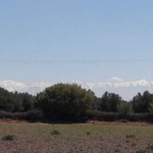 Annonce: à vendre terrain de 1 hectare titré route amezmiz tamesloht a 20 minutes de marrakech