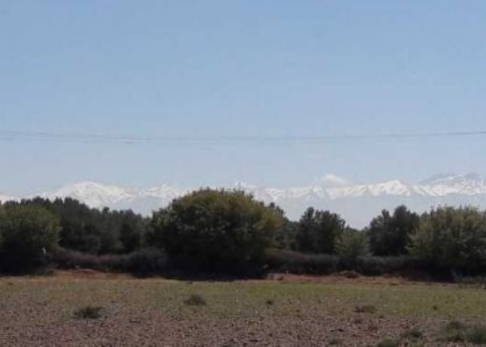 Image annonce: à vendre terrain de 1 hectare titré route amezmiz tamesloht a 20 minutes de marrakech