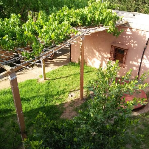 Annonce: à vendre terrain de 3500m² avec maison 130m² + 60 oliviers route d'ourika
