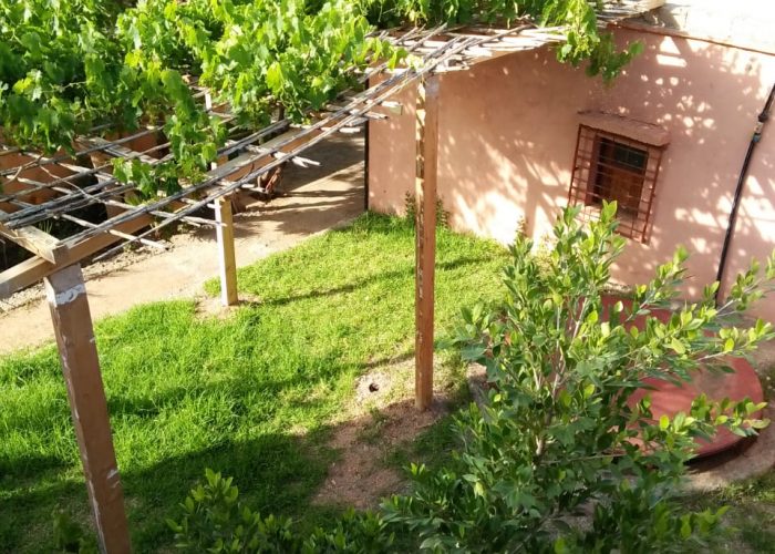 Image annonce: à vendre terrain de 3500m² avec maison 130m² + 60 oliviers route d’ourika