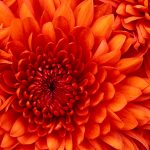 Image de Profil de حلويات لجميع المناسبات