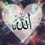 Image de Profil de Abdo Choaib