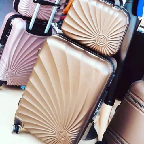 Annonce: حقيبة السفر مع حقيبة يدوية