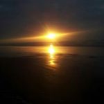 Image de Profil de Sami Nabil