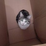 Image de Profil de UmmNaïla