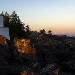 Image de Profil de YASSINE ELKITARI