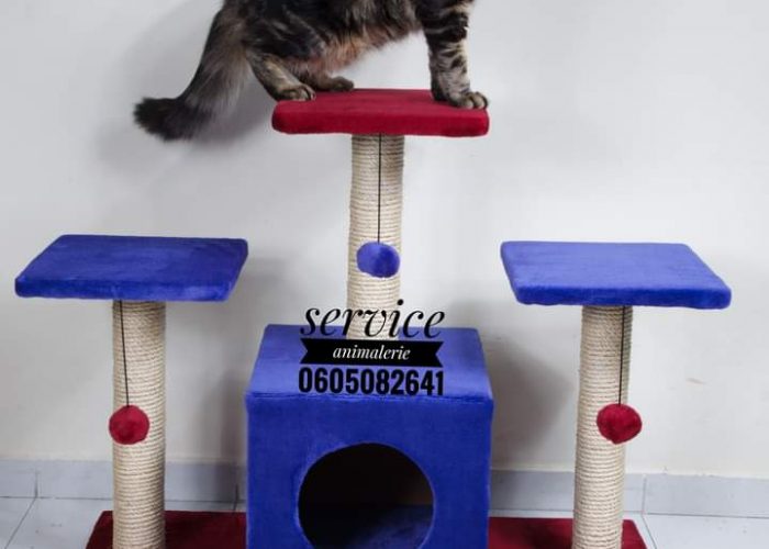 Image annonce: Arbre a chat