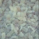 سمية يوسف