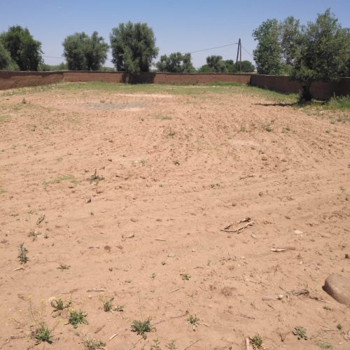 Annonce: Parcelle terrain a Aghmat