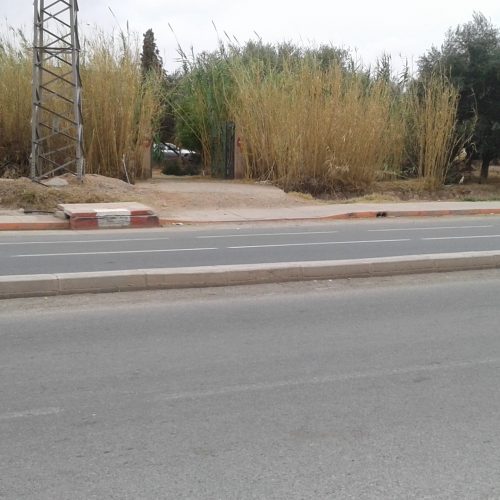 Annonce: Terrain a vendre a chouiter