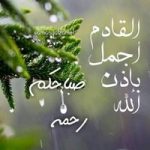 Image de Profil de Bouchra Zaidan