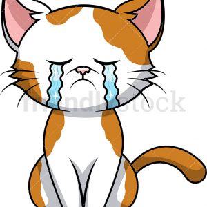 Annonce Les chats