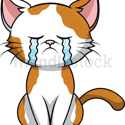 Annonce: Les chats