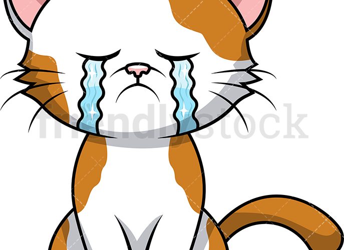 Image annonce: Les chats