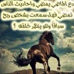 Image de Profil de Fatimaezzahra Ahabchane